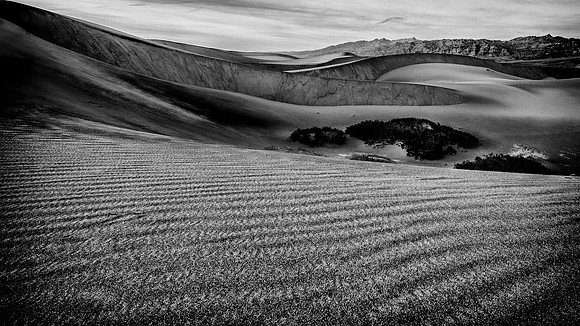 Mesquite Dunes
