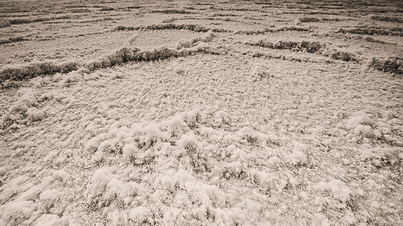 Badwater Basin