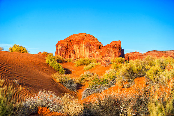 panorama, landscape, dunes, desert, vegetation, details, bertazzoni, sky, scenic, colors