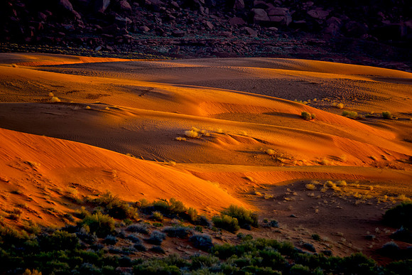 desert, dunes, bushes, scenic, landscape, Arizona, "monument Valley", bertazzoni, details, nature, outdoor