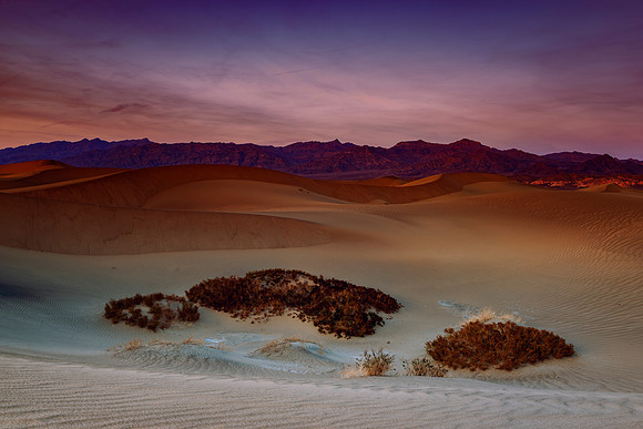 Mesquite Dunes