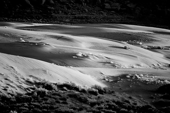 Desert, dunes, sand, grass, landscape, artistic, "black & White", "marco bertazzoni", structures, lines, scenic, park, Arizona, Sahara, Namibia