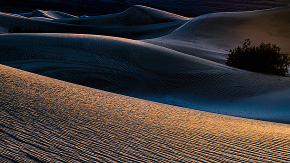 Mesquite Dunes