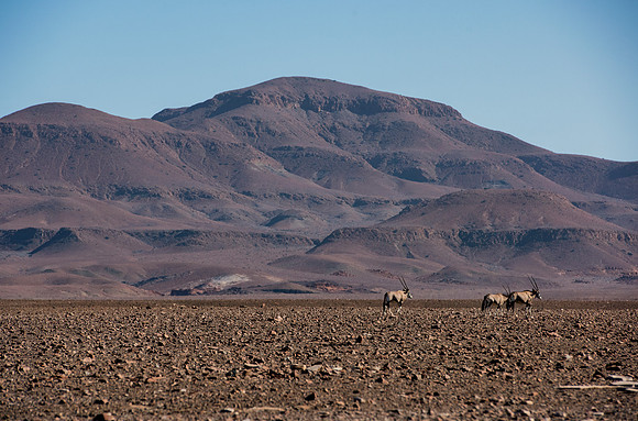 Bertazzoni, Damaraland, Namibia, "Namibia's Landscape", Nikon, Panorama, bushes, clouds, colors, desert, details, dry, rocks, sand, scenic, sky, stones