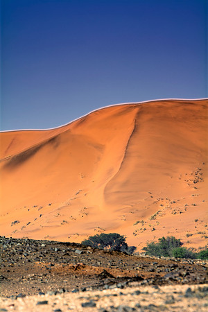 Bertazzoni, Damaraland, Namibia, "Namibia's Landscape", Nikon, bushes, clouds, colors, desert, details, dry, rocks, sand, scenic, sky, stones, panorama, dune, Africa