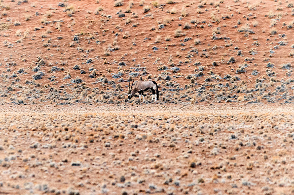 Bertazzoni, Damaraland, Namibia, "Namibia's Landscape", Nikon, Panorama, bushes, clouds, colors, desert, details, dry, rocks, sand, scenic, sky, stones, " Naukluft National Park"