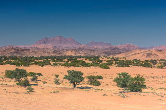 Bertazzoni, Damaraland, Namibia, "Namibia's Landscape", Nikon, bushes, clouds, colors, desert, details, dry, rocks, sand, scenic, scenic, sky, sky, stones