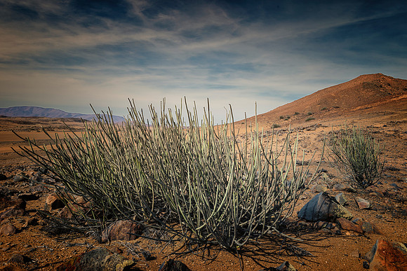 Damaraland