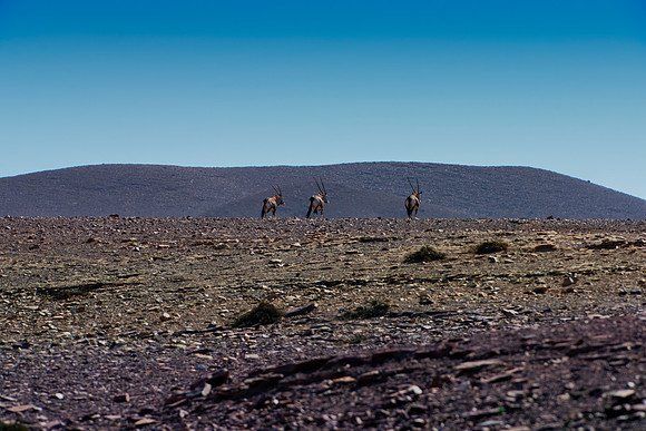 Bertazzoni, Damaraland, Namibia, "Namibia's Landscape", Nikon, Panorama, bushes, clouds, colors, desert, details, dry, rocks, sand, scenic, sky, stones