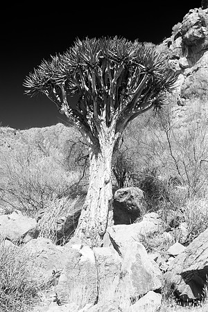 Bertazzoni, Damaraland, Namibia, "Namibia's Landscape", "Naukluft National Park", Nikon, Panorama, bushes, clouds, colors, desert, details, dry, rocks, sand, scenic, sky, stones