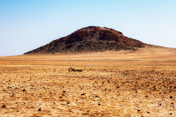 Bertazzoni, Namibia, "Namibia's Landscape", Nikon, , bushes, rocks, scenic, sand, scenic, colors, desert, sky, clouds