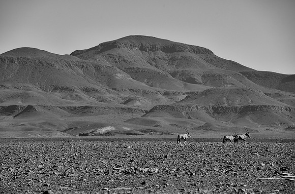Bertazzoni, Damaraland, Namibia, "Namibia's Landscape", Nikon, Panorama, bushes, clouds, colors, desert, details, dry, rocks, sand, scenic, sky, stones