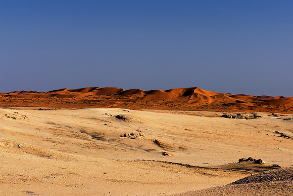 Bertazzoni, Namibia, "Namibia's Landscape", Nikon, bushes, clouds, colors, desert, rocks, sand, scenic, scenic, sky, dry, details, sky,  stones