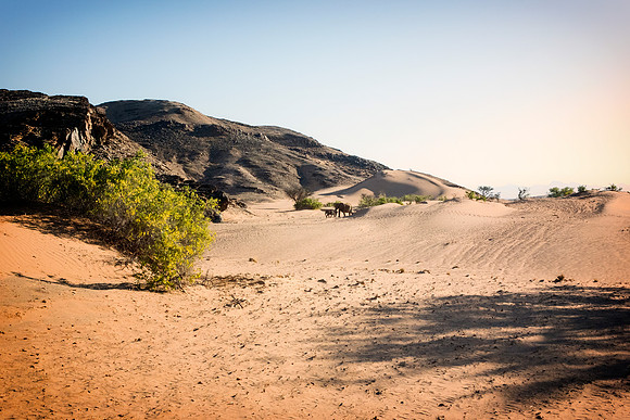 Damaraland