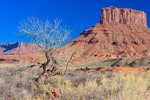Arch, "Colorado River", Dead, "Green RIver", Handle, Horse, Jug, "La Sal Mountains", Moab, National, "Pack Peak", Park, Park, Point, State, USA, Utah, "Wilson Arch", "black & white", clouds, desert, n