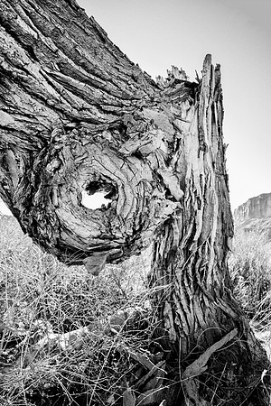 Arch, "Colorado River", Dead, "Green RIver", Handle, Horse, Jug, "La Sal Mountains", Moab, National, "Pack Peak", Park, Park, Point, State, USA, Utah, "Wilson Arch", "black & white", clouds, desert, n