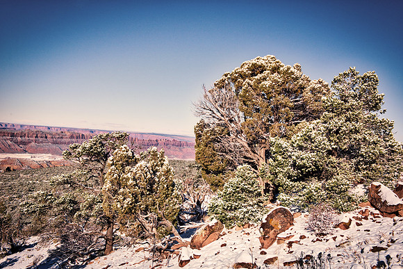 Arch, "Colorado River", Dead, "Green RIver", Handle, Horse, Jug, "La Sal Mountains", Moab, National, "Pack Peak", Park, Park, Point, State, USA, Utah, "Wilson Arch", "black & white", clouds, desert, n