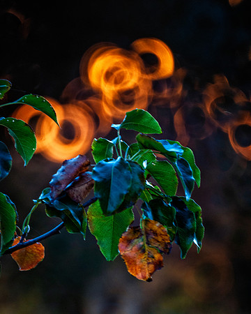 Rings of Fire