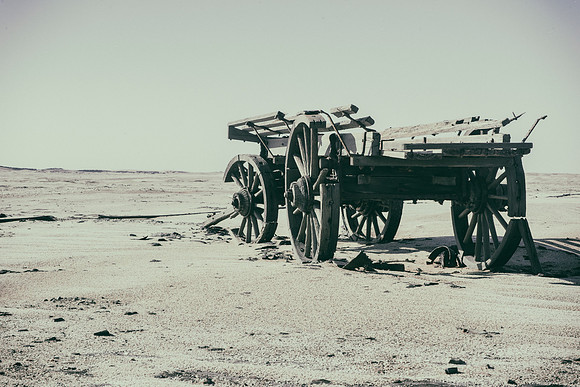 Ox Wagon in Grillenberger