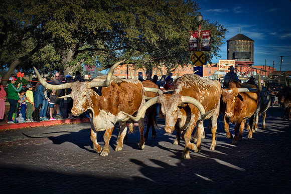 Parade in Fort Worth