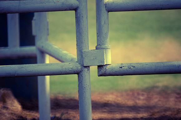 Fence, countryside, details, horses, nature, pasture, structure
