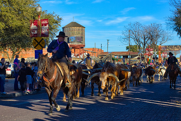 Parade in Fort Worth
