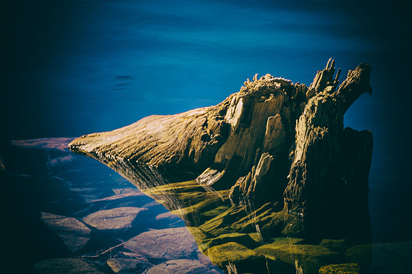 Log in the Water