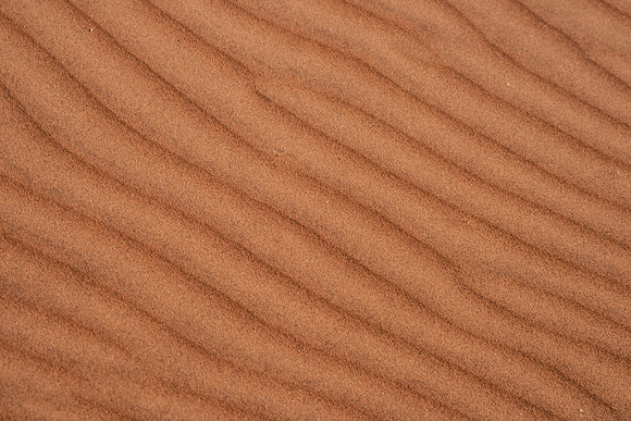 Africa, "Namib desert", Namibia, Nikon, abstract, artistic, bertazzoni, desert, details, details, dune, safari, sand, sandal