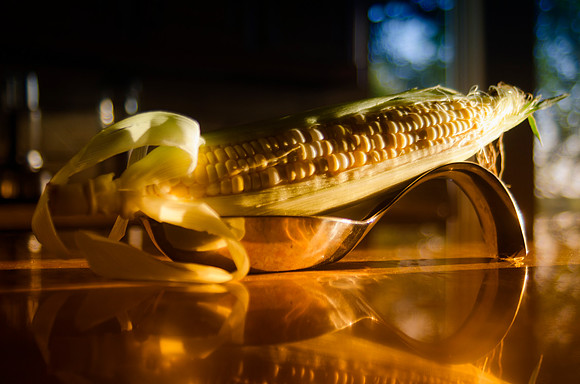 Corn, Kitchen, colors, family, home, house, rainbow, reflections, sunlight