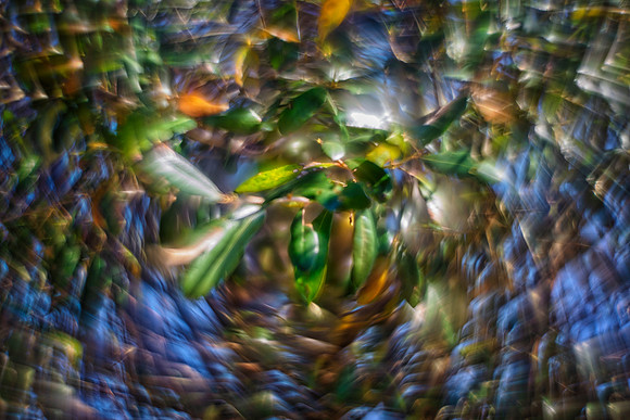 Illusion