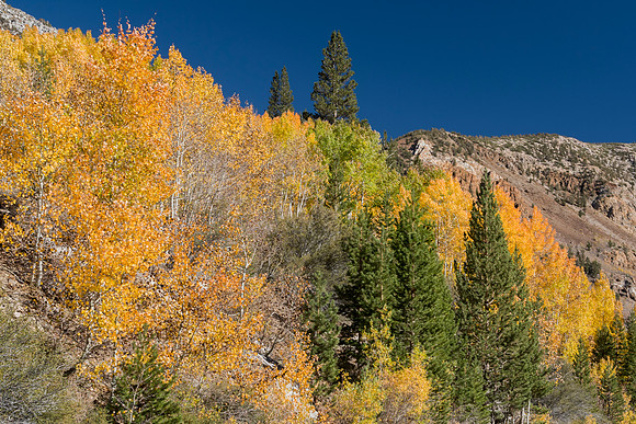 Bertazzoni, California, "Eastern Sierra", "Milky Way", "Mono Lake", Nikon, USA, aspens, "black & white", boats, clouds, colors, creek, dam, fishing, lake, leafs, minerals, mountains, nature, park, roc