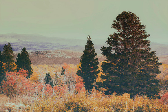 Bertazzoni, California, "Eastern Sierra", "Milky Way", "Mono Lake", Nikon, USA, aspens, "black & white", boats, clouds, colors, creek, dam, fishing, lake, leafs, minerals, mountains, nature, park, roc