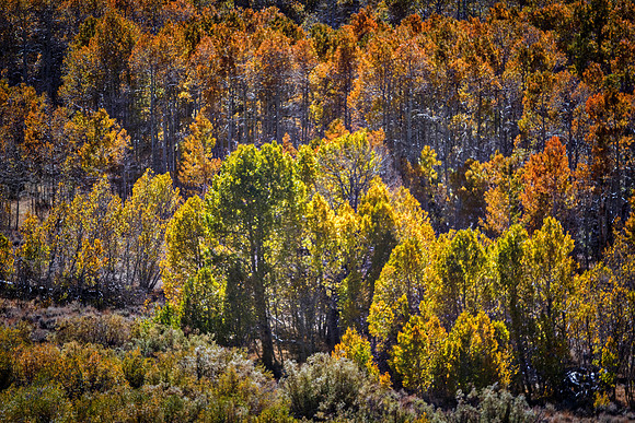 Bertazzoni, California, "Eastern Sierra", "Milky Way", "Mono Lake", Nikon, USA, aspens, "black & white", boats, clouds, colors, creek, dam, fishing, lake, leafs, minerals, mountains, nature, park, roc
