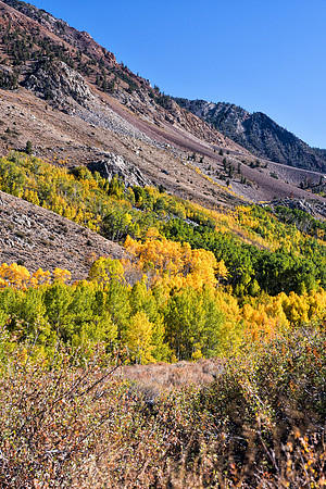 Bertazzoni, California, "Eastern Sierra", "Milky Way", "Mono Lake", Nikon, USA, aspens, "black & white", boats, clouds, colors, creek, dam, fishing, lake, leafs, minerals, mountains, nature, park, roc
