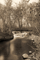 Bertazzoni, California, "Eastern Sierra", "Milky Way", "Mono Lake", Nikon, USA, aspens, "black & white", boats, clouds, colors, creek, dam, fishing, lake, leafs, minerals, mountains, nature, park, roc