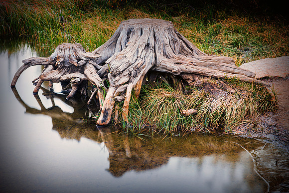 Bertazzoni, California, "Eastern Sierra", "Milky Way", "Mono Lake", Nikon, USA, aspens, "black & white", boats, clouds, colors, creek, dam, fishing, lake, leafs, minerals, mountains, nature, park, roc