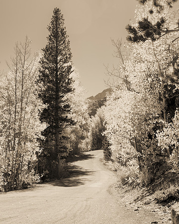 Bertazzoni, California, "Eastern Sierra", "Milky Way", "Mono Lake", Nikon, USA, aspens, "black & white", boats, clouds, colors, creek, dam, fishing, lake, leafs, minerals, mountains, nature, park, roc