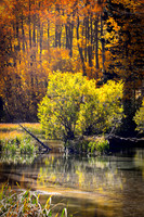 Bertazzoni, California, "Eastern Sierra", "Milky Way", "Mono Lake", Nikon, USA, aspens, "black & white", boats, clouds, colors, creek, dam, fishing, lake, leafs, minerals, mountains, nature, park, roc