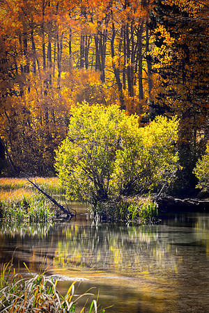 Bertazzoni, California, "Eastern Sierra", "Milky Way", "Mono Lake", Nikon, USA, aspens, "black & white", boats, clouds, colors, creek, dam, fishing, lake, leafs, minerals, mountains, nature, park, roc
