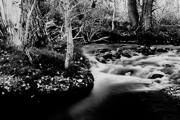 Bertazzoni, California, "Eastern Sierra", "Milky Way", "Mono Lake", Nikon, USA, aspens, "black & white", boats, clouds, colors, creek, dam, fishing, lake, leafs, minerals, mountains, nature, park, roc