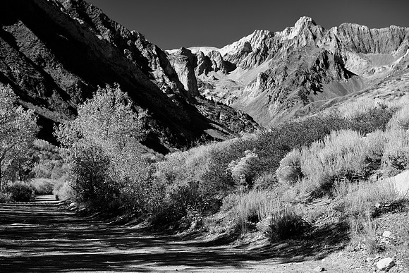 McGee Creek