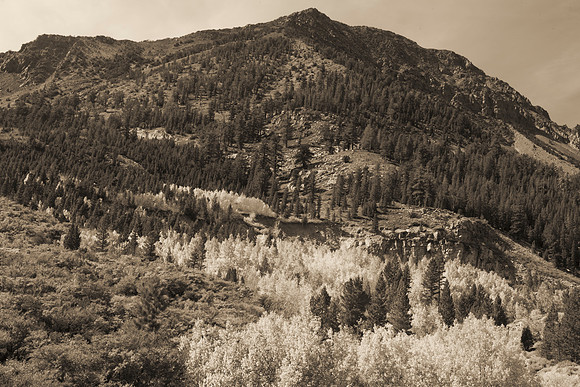 Bertazzoni, California, "Eastern Sierra", "Milky Way", "Mono Lake", Nikon, USA, aspens, "black & white", boats, clouds, colors, creek, dam, fishing, lake, leafs, minerals, mountains, nature, park, roc
