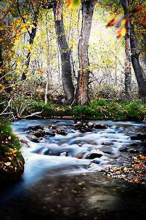 Bertazzoni, California, "Eastern Sierra", "Milky Way", "Mono Lake", Nikon, USA, aspens, "black & white", boats, clouds, colors, creek, dam, fishing, lake, leafs, minerals, mountains, nature, park, roc