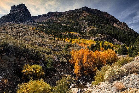 Bertazzoni, California, "Eastern Sierra", "Milky Way", "Mono Lake", Nikon, USA, aspens, "black & white", boats, clouds, colors, creek, dam, fishing, lake, leafs, minerals, mountains, nature, park, roc