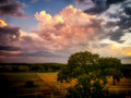 Skyscapes