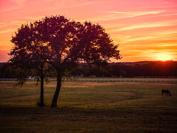 Sky's on Fire