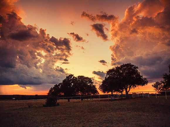 Sky's on Fire