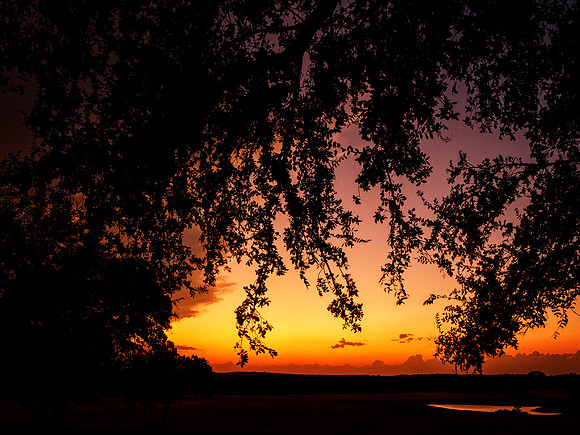 Sky's on Fire