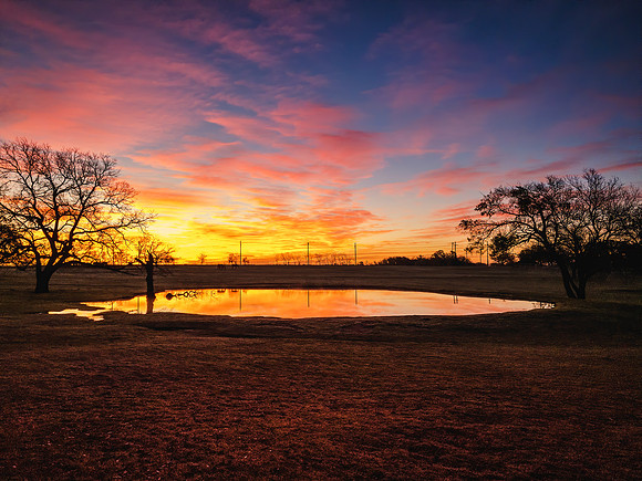 Sunrise