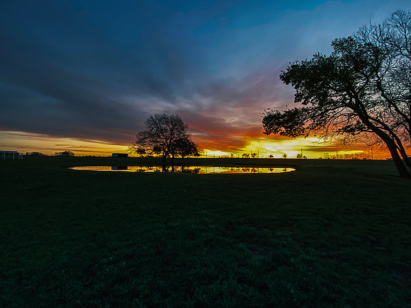 Sunrise